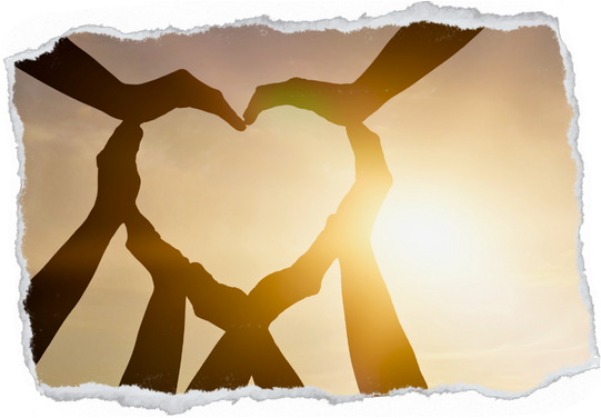 Fundos da Falange coração